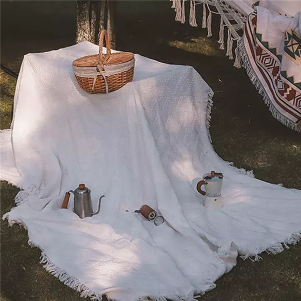 picnics blankets-1